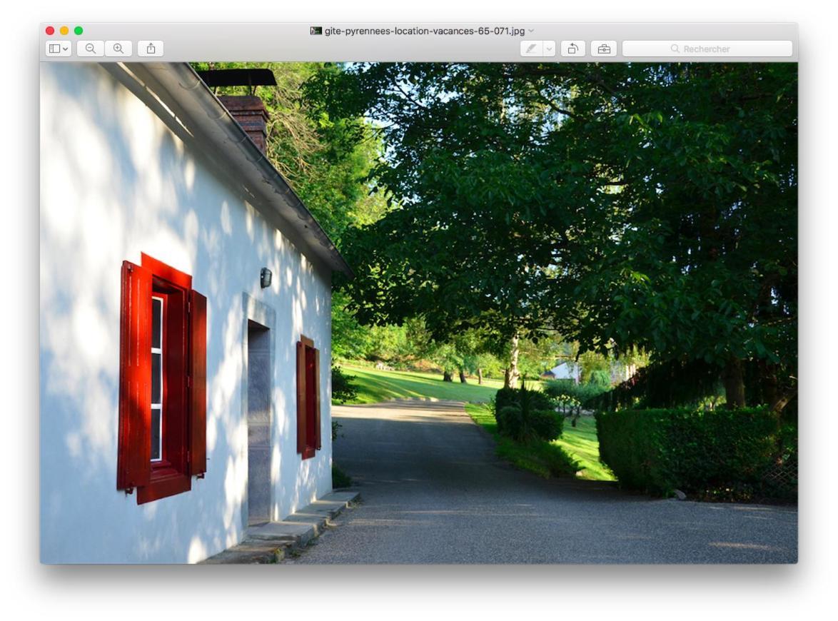 Le Chalet Des Pyrenees St Savin Saint-Savin  エクステリア 写真